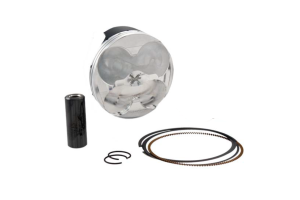 Piston and Rings