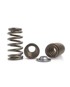 Kelford Barra BA FG Falcon EXTREME Race Spring Ti Retainers