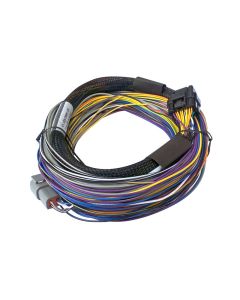 Haltech Elite 750 Basic Universal Wire-in Harness Length: 2.5m (8')