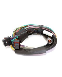 Haltech Elite 1500 Basic Universal Wire-in Harness Length: 2.5m (8')