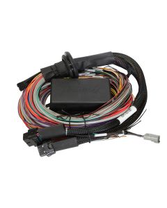 Haltech Elite 2500 & 2500 T Premium Universal Wire-in Harness Length: 2.5m (8')