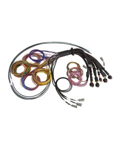 Haltech NEXUS R5 Basic Universal Wire-In Harness 5 Metre Length Length: 5M