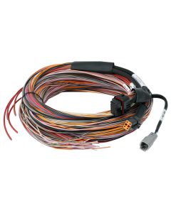 Haltech PD16 Flying Lead Harness - 5M Length: 5M / 16FT