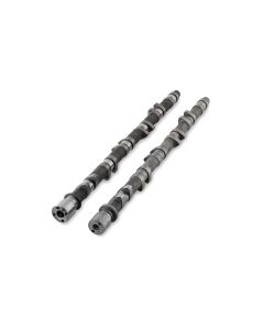 Kelford Cams- suit Nissan RB25NEO 272 ( 244-A2 )