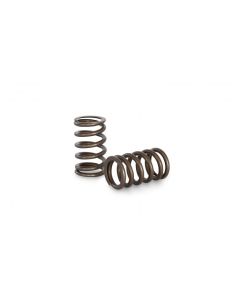 Kelford Nissan SR20 High Performance Valve Spring Set