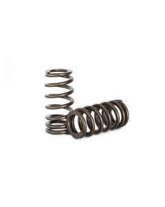 Kelford Barra Valve Springs