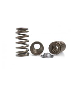Kelford Barra Valve Springs K