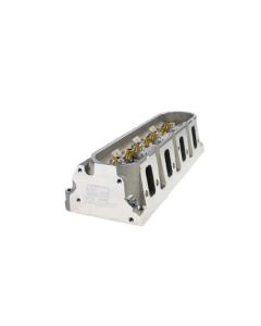 ENGINE PRO RACING Chevrolet LS1 & 2 Cathedral intake ports, 15 degree