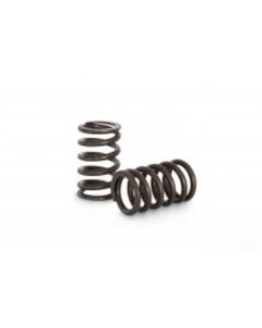 Kelford 1FZ / TB48 Valve Springs