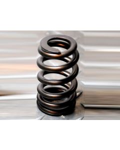 Chev LS1/LS2 Ovate Wire  Beehive Valve Spring Kit