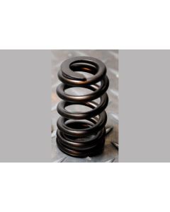 Ford BA XR6 Turbo Barra Ovate Wire Beehive Valve Spring Kit