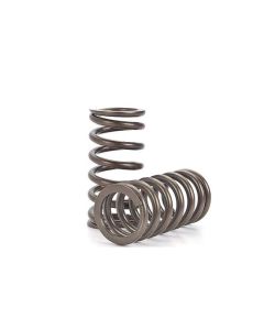 Performance Valve springs Nissan FJ20 DOHC Valve Spring Set