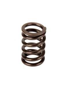 Performance Springs Toyota 1HD-FTE Valve Spring Set