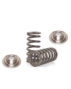 Nissan CA18 Valve Spring & Ti-Retainer Kit