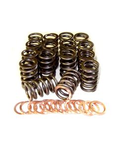 Toyota 3RZ Valve Spring Kit