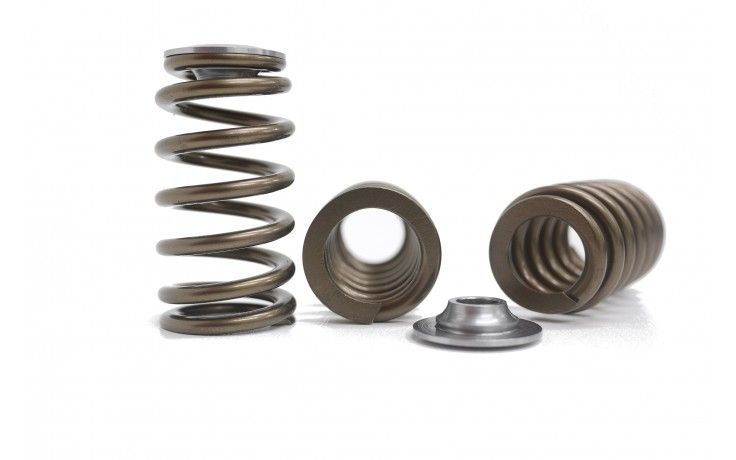 Kelford Barra Valve Springs K