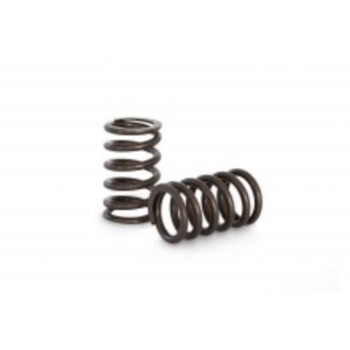 Kelford 1FZ / TB48 Valve Springs