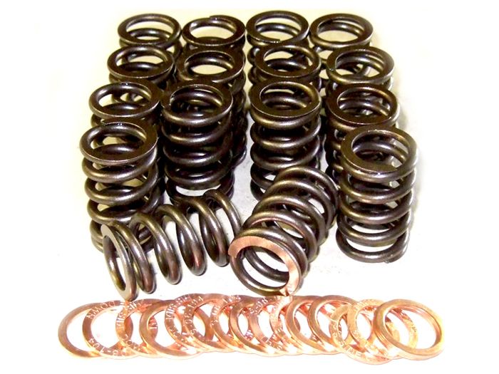 Performance Springs Toyota 3RZ Valve Spring Kit
