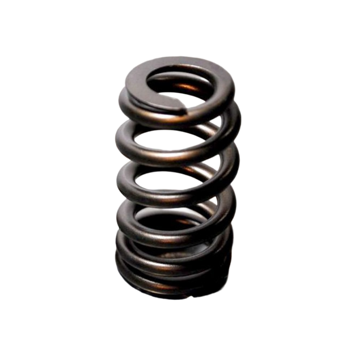 Performance Springs Ford Barra XR6  BA/BF/FG/FGX PACALOY Beehive Valve Springs