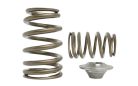 Nissan TD42 Titanium Valve Springs Kit