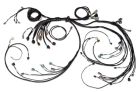 Nexus R5 LSx DBW terminated harness