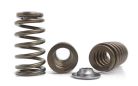Kelford Barra BA FG Falcon EXTREME Race Spring Ti Retainers