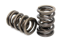 Performance Springs CLBBSB1 dual valve springs for Ford Cleveland 302-351 CID V8