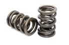 Performance Springs CLBBSB1 dual valve springs for Ford Cross Flow V8