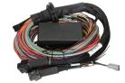 Haltech Elite 2500 & 2500 T Premium Universal Wire-in Harness Length: 5m (16')