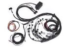Haltech Elite 2500 Terminated Engine Harness For Ford FalconBA/BF Barra 4.0L I6 Injector Connector: Factory Bosch EV1