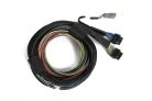 Haltech Nexus S3 / S2 Universal Wire-In Harness - 2.5m (8')