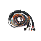 Haltech Nexus R3 Universal Wire-in Harness - 2.5m (8') Length: 2.5M