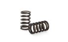 Kelford RB26 Drop in Valve Springs