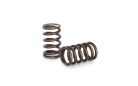 Kelford 1UZ Valve Springs