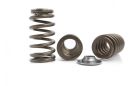 Kelford Barra Valve Springs K