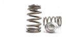 Kelford Nissan SR20 Premium Quality Valve Springs and Titanium Retainer Set