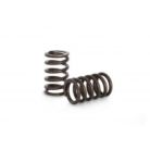 Kelford 1FZ / TB48 Valve Springs