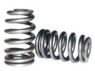 Holden Ecotech V6 Beehive Valve Spring Kit