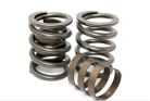Performance Springs PS 10091D single and damper valve springs for Ford EL EF ED 4.0L SOHC inline 6 cylinder