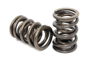 Performance Springs PS 12930D dual valve springs for Ford Lotus Twin Cam engine
