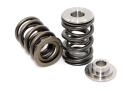 Performance Springs PST 1006K dual valve spring and titanium retainer kit for Holden Isuzu Gemini G161 G180 G200 and Ford 2.0L