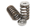 Holden Alloytec GM SIDI V6 PACALOY Beehive Valve Spring Titanium Retainer Kit