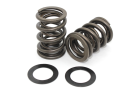 Performance Springs PST EZ30RD Subaru EZ30 dual valve springs and titanium base locators