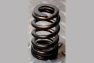 Ford BA XR6 Turbo Barra Ovate Wire Beehive Valve Spring Kit