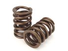 Ford EL/EF Inline 6 Valve Spring Kit