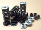Chev LS1 Dual Valve Spring & Ti-Retainer Kit