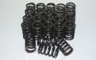 Toyota 2JZ Valve Spring Kit