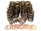Toyota 3RZ Valve Spring Kit