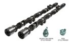 Kelford Nissan RB20DET / RB25DET, 262/262 | 9.30mm/9.30mm Valve Lift - HL182-A