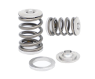 Kelford Nissan RB25 NVCS valve springs with Titanium retainers - KVS25R-T